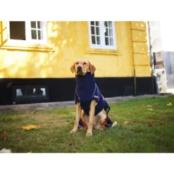 Siccaro WetDog SupremePro 2.0 -Bekend Hondenspullen Winkel siccaro wetdog supremepro 20 216994 2000 none