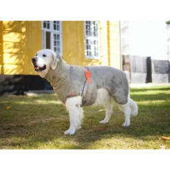 Siccaro WetDog SupremePro 2.0 -Bekend Hondenspullen Winkel siccaro wetdog supremepro 20 216997 2000 none