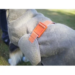 Siccaro WetDog SupremePro 2.0 -Bekend Hondenspullen Winkel siccaro wetdog supremepro 20 216999 2000 none