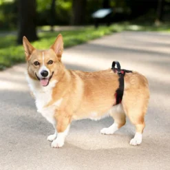 PetSafe Carelift - Draagsysteem Voor De Hond -Bekend Hondenspullen Winkel solvit carelift draagsysteem voor de hond 163711 0500 none