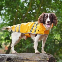 Sötnos Hondenregenjas -Bekend Hondenspullen Winkel stnos hondenregenjas 130475 0500 none