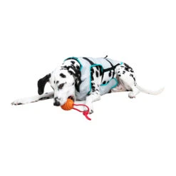 Suitical DRY Cooling Vest -Bekend Hondenspullen Winkel suitical dry cooling vest 149882 2000 none