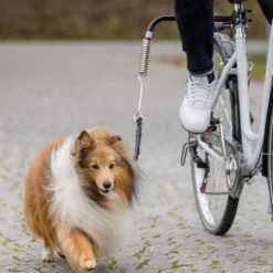 Trixie Fiets-Set -Bekend Hondenspullen Winkel trixie fiets set 178264 1000 none