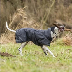 Trixie Hondenjas Calvi -Bekend Hondenspullen Winkel trixie hondenjas calvi 207467 1000 none