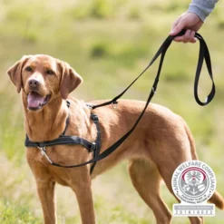 Trixie Lead'n Walk Soft Hondentuig -Bekend Hondenspullen Winkel trixie leadn walk soft hondentuig 213905 0500 none