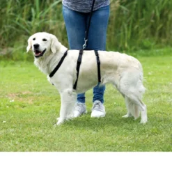 Trixie Stay Hondentuig -Bekend Hondenspullen Winkel trixie stay hondentuig 95231 0500 none