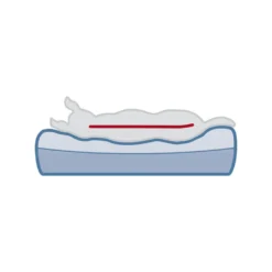 Trixie Vitaal Matras Bendson - Donkerbruin/Beige -Bekend Hondenspullen Winkel trixie vitaal matras bendson donkerbruinbeige 178699 1000 none