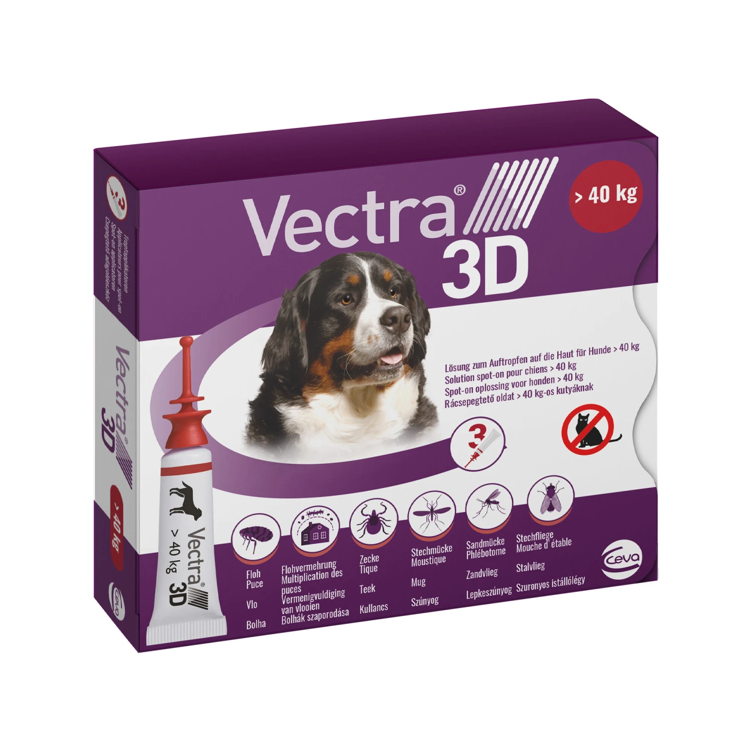 Vectra 3D Dog 1 Vectra 3D Dog