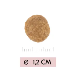 Vetality Skin Support - Hondenvoer 12 Vetality Skin Support - Hondenvoer -Bekend Hondenspullen Winkel vetality skin support hondenvoer 195452 1000 none