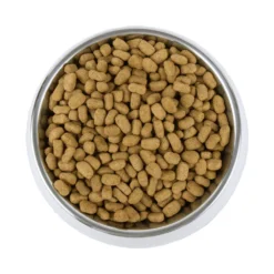 Vetality Weight Management - Hondenvoer -Bekend Hondenspullen Winkel vetality weight management hondenvoer 195227 1000 none