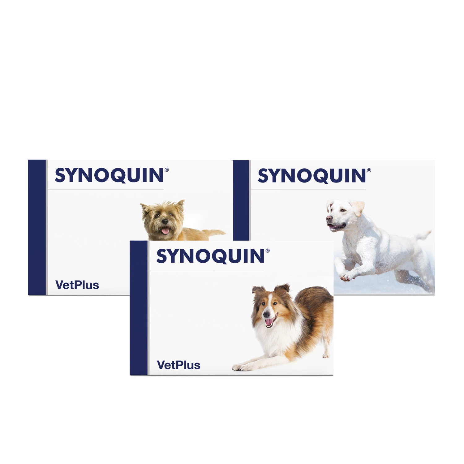 Vetplus Synoquin 4 Vetplus Synoquin - Afbeelding 4
