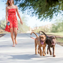 Wigzi Dual Doggie 2.0 8 Wigzi Dual Doggie 2.0 -Bekend Hondenspullen Winkel wigzi dual doggie 20 167836 1500 none