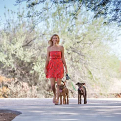 Wigzi Dual Doggie 2.0 9 Wigzi Dual Doggie 2.0 -Bekend Hondenspullen Winkel wigzi dual doggie 20 167839 1500 none