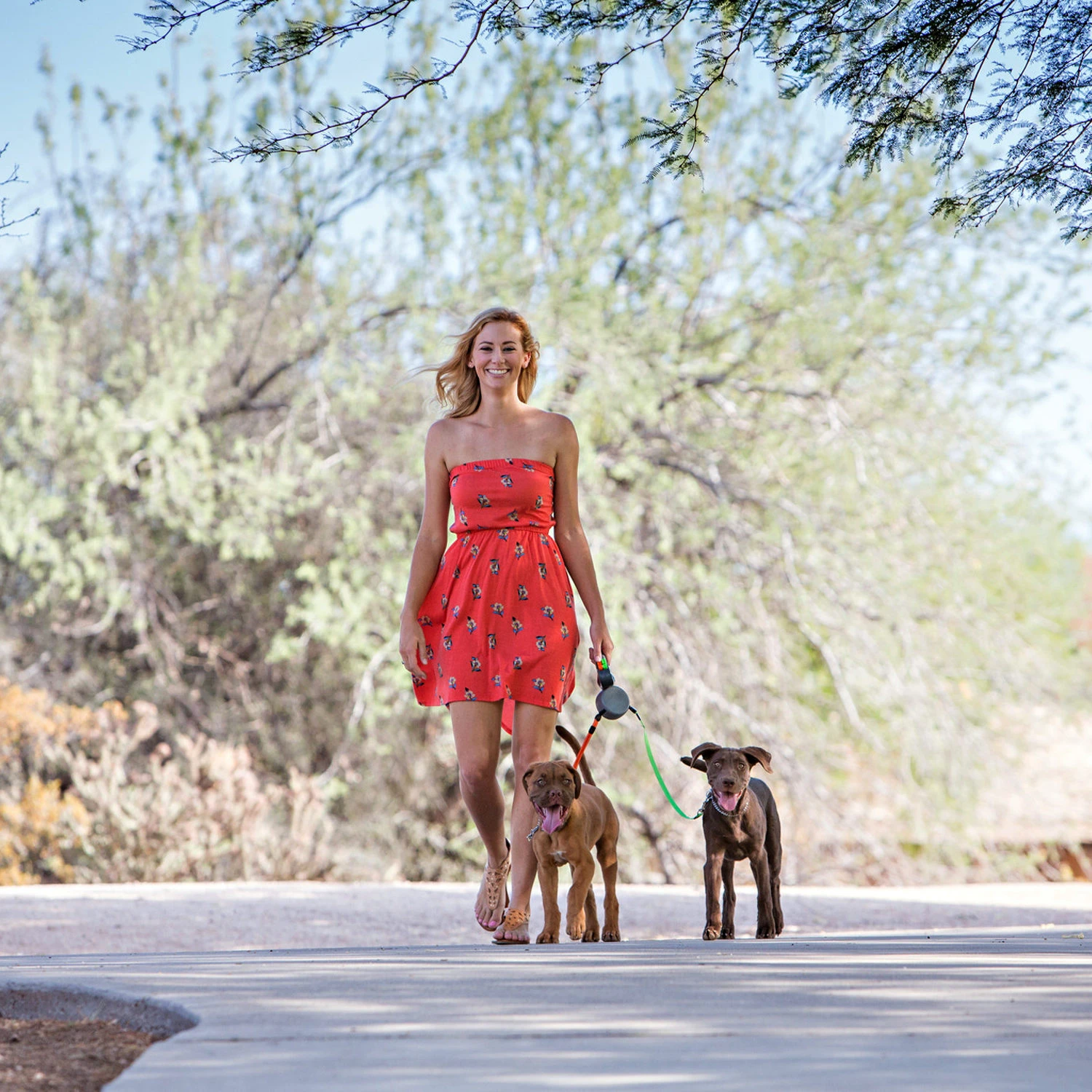 Wigzi Dual Doggie 2.0 5 Wigzi Dual Doggie 2.0 - Afbeelding 5