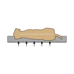 Beeztees Memory Foam Uma Hondenmand -Bekend Hondenspullen Winkel xInkB5LAKhtOZjoEaSl8J9DhKXqRsf metaQmVlenRlZXMtTWVtb3J5LUZvYW0tVW1hLUhvbmRlbm1hbmQtb3J0aG9wZWRpc2NoLTIuanBn