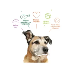 Yarrah - Droogvoer Hond Senior Bio -Bekend Hondenspullen Winkel yarrah droogvoer hond senior bio 201146 1000 none