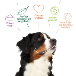 Yarrah - Hondensnack Vega Hondenkoekjes Grote Honden Bio -Bekend Hondenspullen Winkel yarrah hondensnack vega hondenkoekjes grote honden bio 198917 1000 none