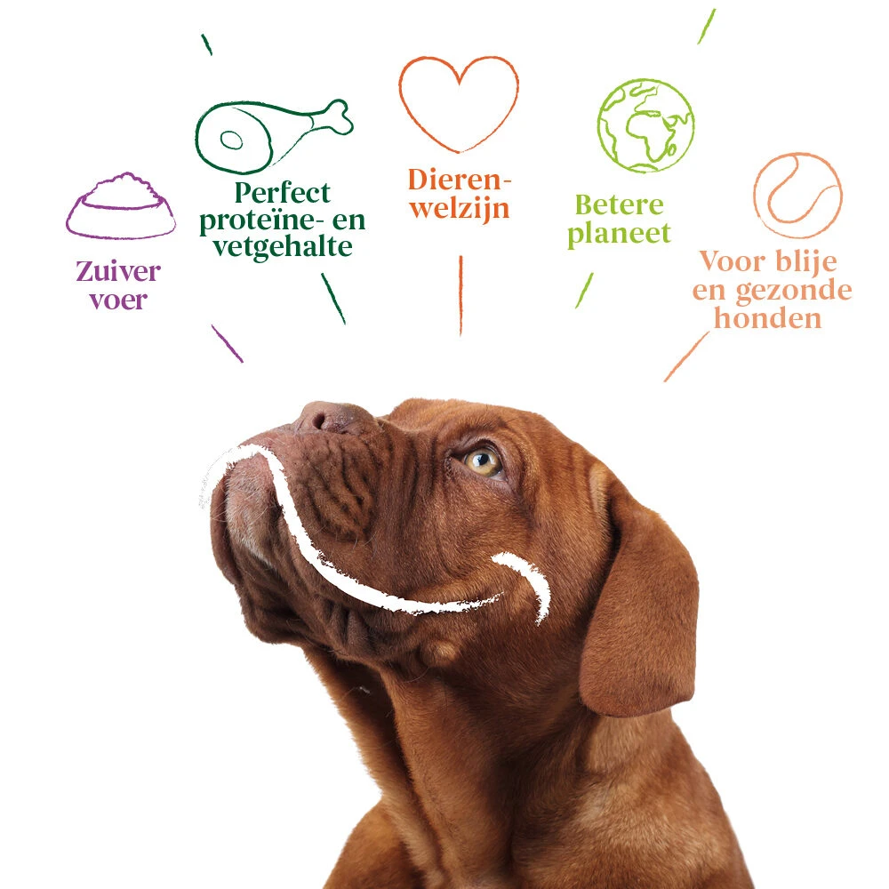 Yarrah - Natvoer Hond Blik Chunks Met Kip Bio 7 Yarrah - Natvoer Hond Blik Chunks Met Kip Bio - Afbeelding 7