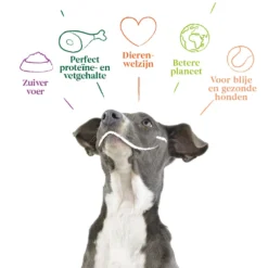 Yarrah - Natvoer Hond Kuipje Chunks Met Rund Bio -Bekend Hondenspullen Winkel yarrah natvoer hond kuipje chunks met rund bio 201050 1000 none