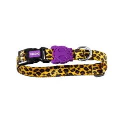 Zee.Dog Dog Collar 31 Zee.Dog Dog Collar -Bekend Hondenspullen Winkel zeedog honey dog collar m 124219 1000 none