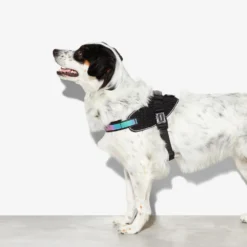 Zee.Dog FlyHarness Hondentuigje -Bekend Hondenspullen Winkel zeedog flyharness hondentuigje 221595 1000 none
