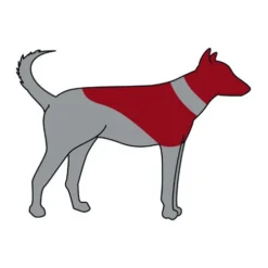 ZenPet Pro Collar -Bekend Hondenspullen Winkel zenpet pro collar 193865 0500 none