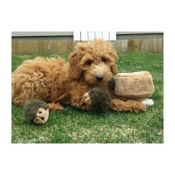 ZippyPaws Zippy Burrow Hedgehog Den -Bekend Hondenspullen Winkel zippypaws zippy burrow hedgehog den 221069 0500 none